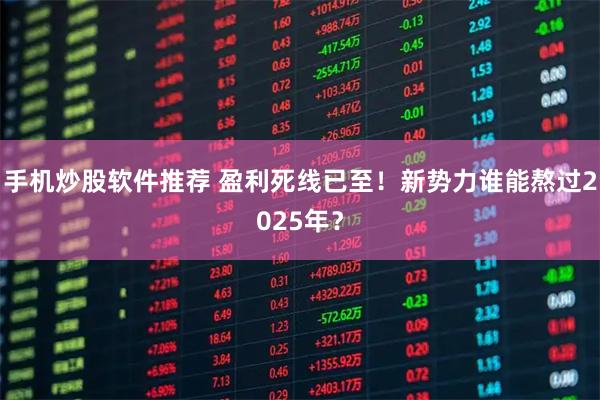 手机炒股软件推荐 盈利死线已至！新势力谁能熬过2025年？